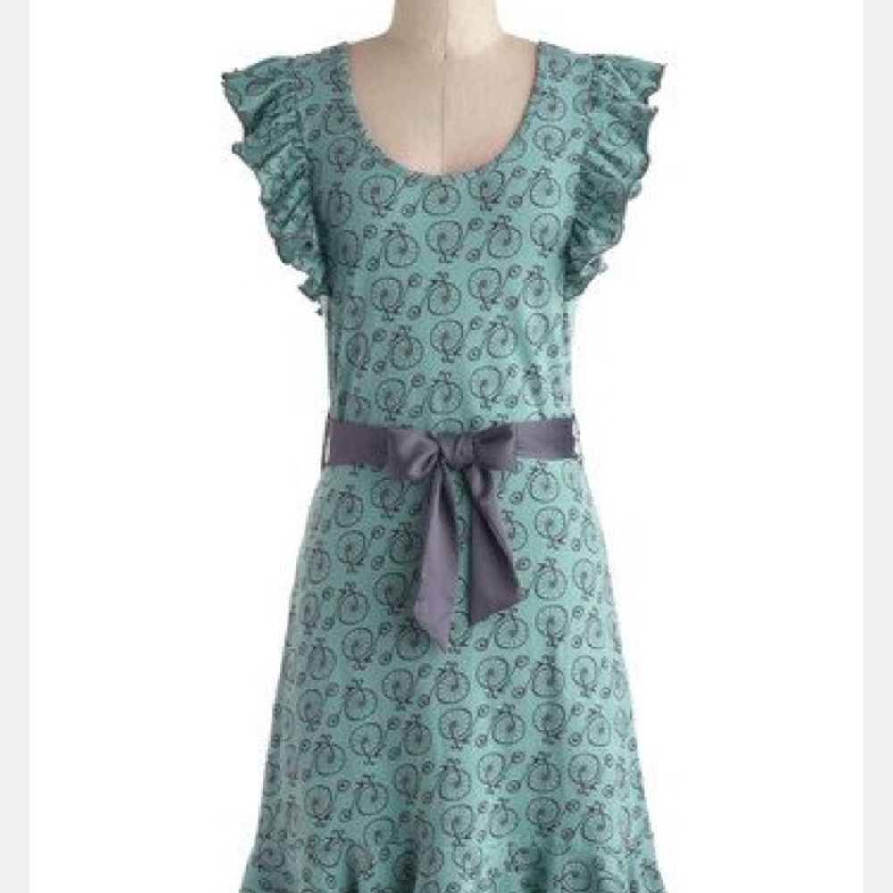 I want to ride my bicycle